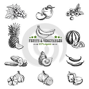 Vector set of fruit and vegetables