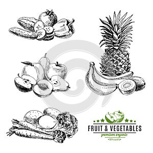 Vector set of fruit and vegetables