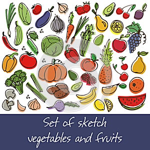 Vector set of fruit and vegetables