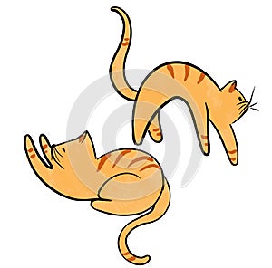 Vector set of funny cats lying, sitting, stretching itself, sleeping. Flat cartoon vector illustration. Cute cartoon cat
