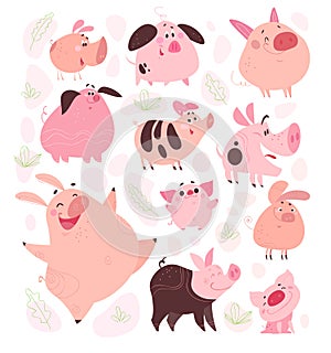 Vector set of funny flat different pig characters design isolated on white background.