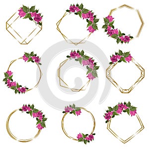 Vector set of gold frames of different shapes and pink bougainvillea. Frames on white background for holiday design.