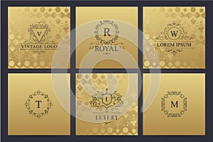 Vector set of golden cards with luxury logos letters.