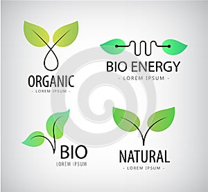 Vector set of green leaves, eco bio logos, natural