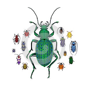 Vector set with Ground beetle and small colorful bugs. Cartoon handdraw illustration