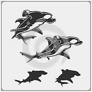 Vector set of Hammerhead shark.