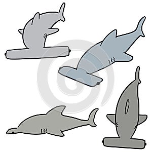 Vector set of hammerhead shark