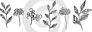 Vector set of hand drawing wild plants, herbs and berries, monochrome artistic botanical illustration