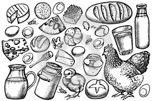 Vector set of hand drawn black and white milk, cheese, chicken, eggs, buns and bread, honey