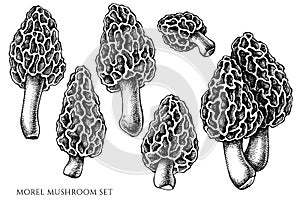 Vector set of hand drawn black and white morel mushroom