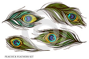 Vector set of hand drawn colored peacock feathers