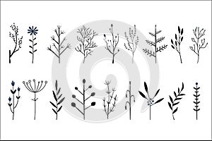 Vector set of hand drawn decorative herbs and flowers. Small twigs of different plants. Botanical icons