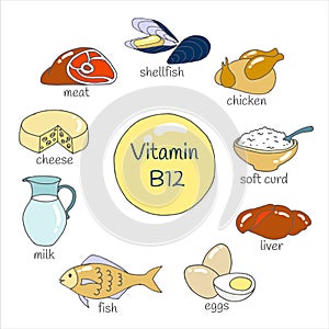 Vector set of hand drawn foods highest in Vitamin B12