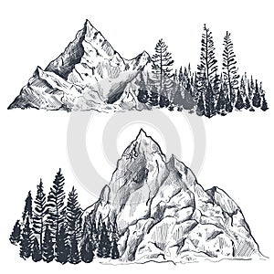 Vector set of hand drawn graphic mountain ranges with pine forest