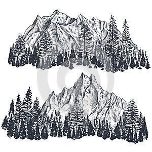 Vector set of hand drawn graphic mountain ranges with pine forest.