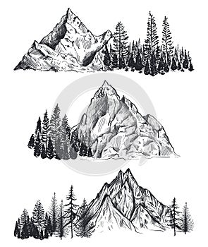 Vector set of hand drawn graphic mountain ranges and pine forest.