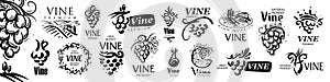 Vector set of hand drawn logos for wine