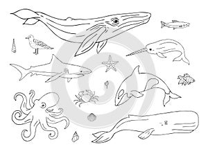 Vector set of hand drawn sea animals and fish