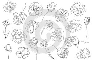 Vector set of hand drawn, single continuous line flowers. Art floral elements. Use for t-shirt prints, logos, cosmetics