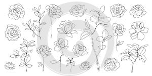 Vector set of hand drawn, single continuous line flowers, leaves. Art floral elements. Use for t-shirt prints, logos