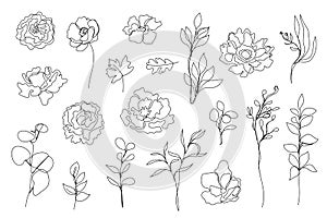 Vector set of hand drawn, single continuous line flowers, leaves. Art floral elements. Use for t-shirt prints, logos