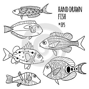 Vector set of hand drawn stylized fishes