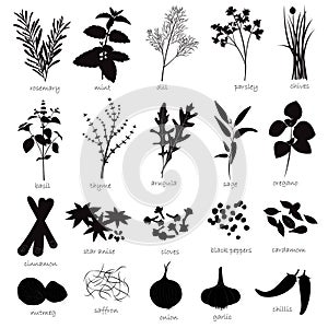 Vector Set of Herbs and Spices