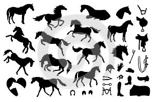 Vector set of horse and equestrian equipment