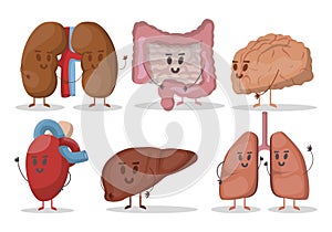 Vector set of human internal organs illustrations. Heart, lungs, kidneys, liver, brain, stomach. Smiling characters.