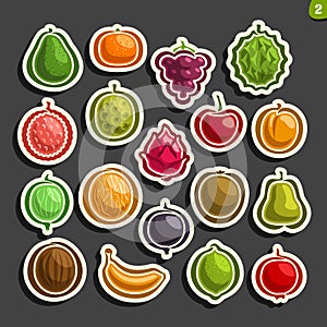 Vector Set icons of colorful Fruits and Berries