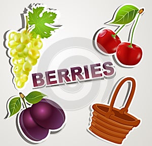 Vector set of icons/strikers: Berries photo
