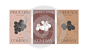 Vector set illustartion design labels for wine. Minimalistic and modern design with grape branch.