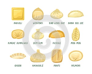Vector set of illustrations of dumplings from different countries of the world. National cuisine