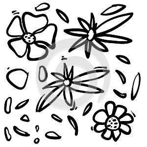 Vector set of ink drawing wild plants, herbs and flowers handdrawn style