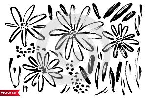 Vector set of ink drawing wild plants, herbs and flowers, monochrome artistic botanical illustration, isolated floral