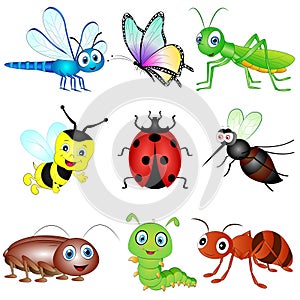 Vector Set of Insects.