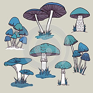 Vector set with isolated mushrooms