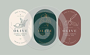 Vector set labels with olive branch - simple linear style. Emblem composition with olives and typography.