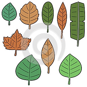 Vector set of leaves