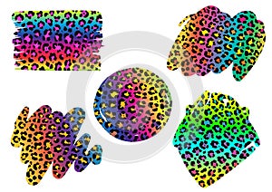 Vector set of Leopard rainbow print Backsplash on white background