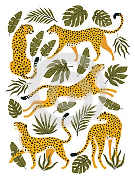 Vector set of leopards or cheetahs and tropical leaves.