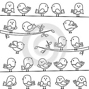 Vector Set of Line Art Cartoon Birds