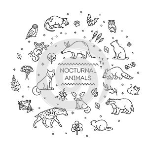 Vector. Set of linear vector nocturnal animals