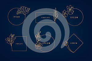 Vector set of luxury artdeco floral frames, logo design templates and monogram concepts, linear style emblems for photo