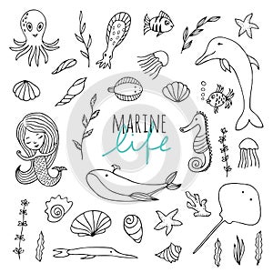 Vector set of marine life.