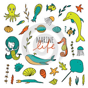 Vector set of marine life.