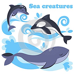 Vector set of marine mammal animals on white background.