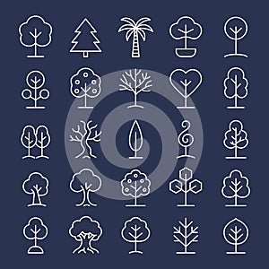 Vector Set Of Modern Trees In Outline