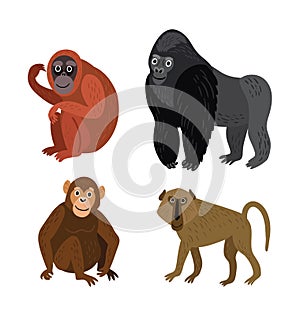 Vector set of monkey rangutan, baboon, gorilla, chimpanzee