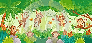 Vector set with monkey in various poses on jungle background